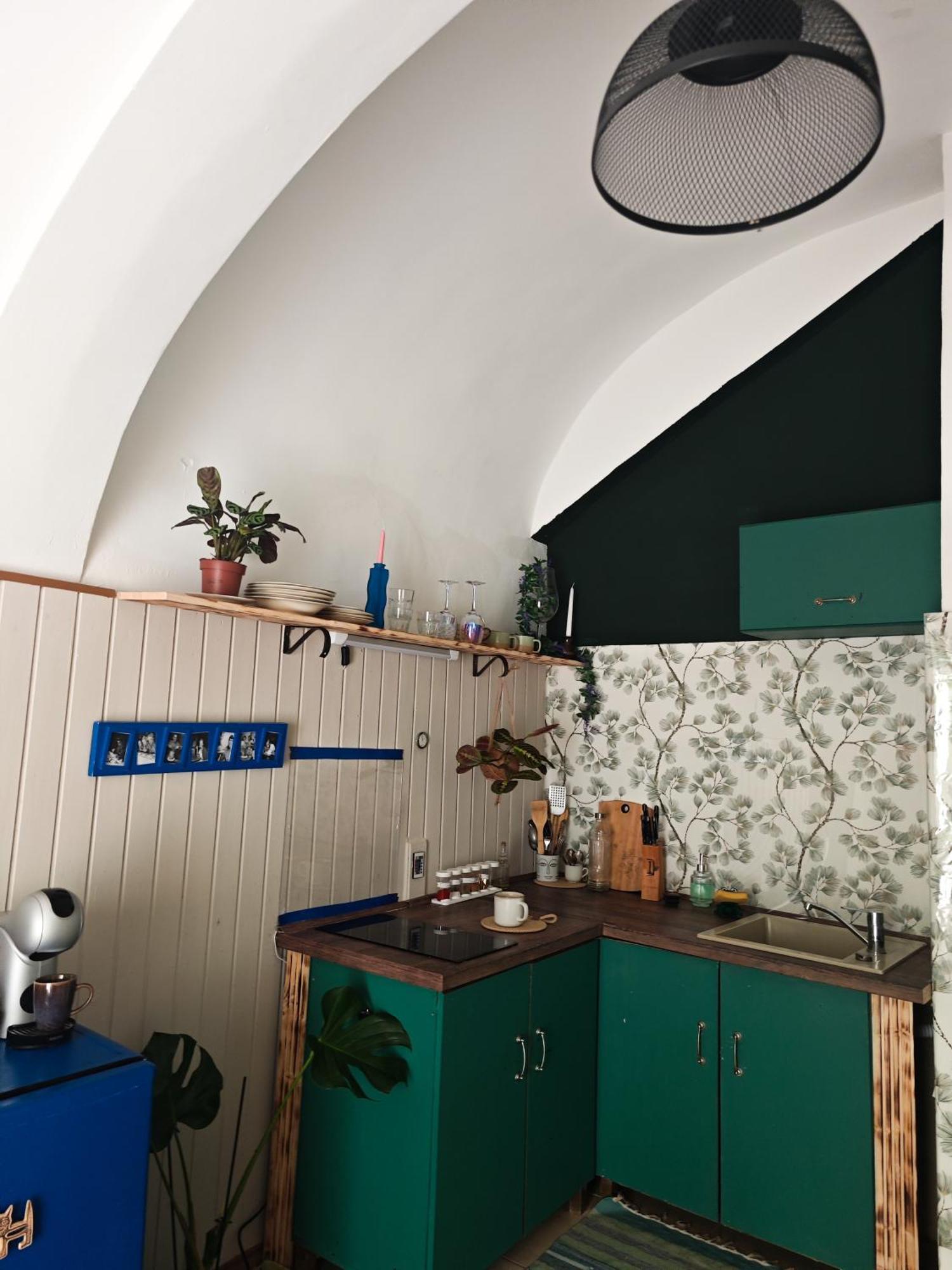 Vintage Room With Garden View ブラチスラヴァ エクステリア 写真