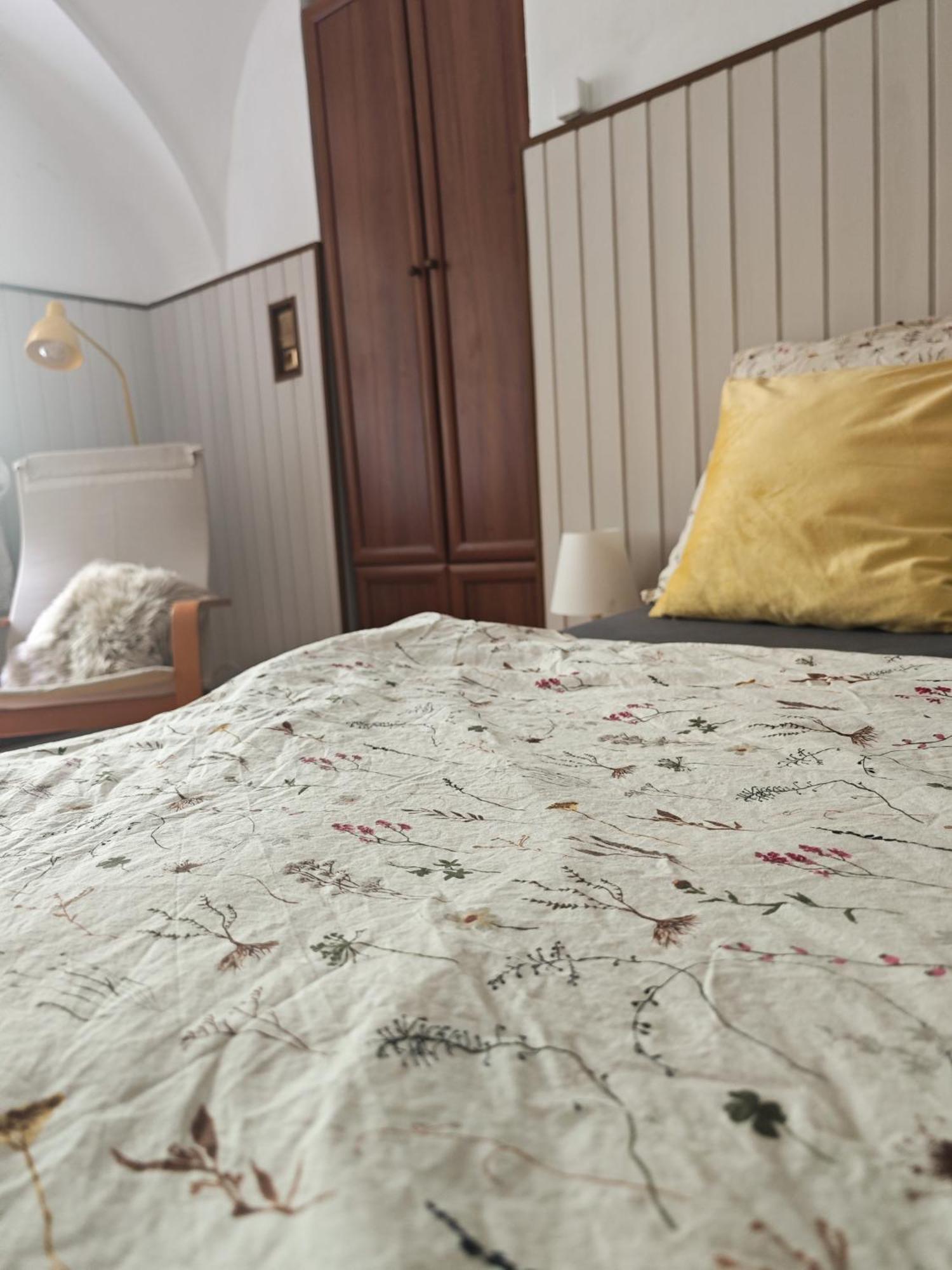 Vintage Room With Garden View ブラチスラヴァ エクステリア 写真