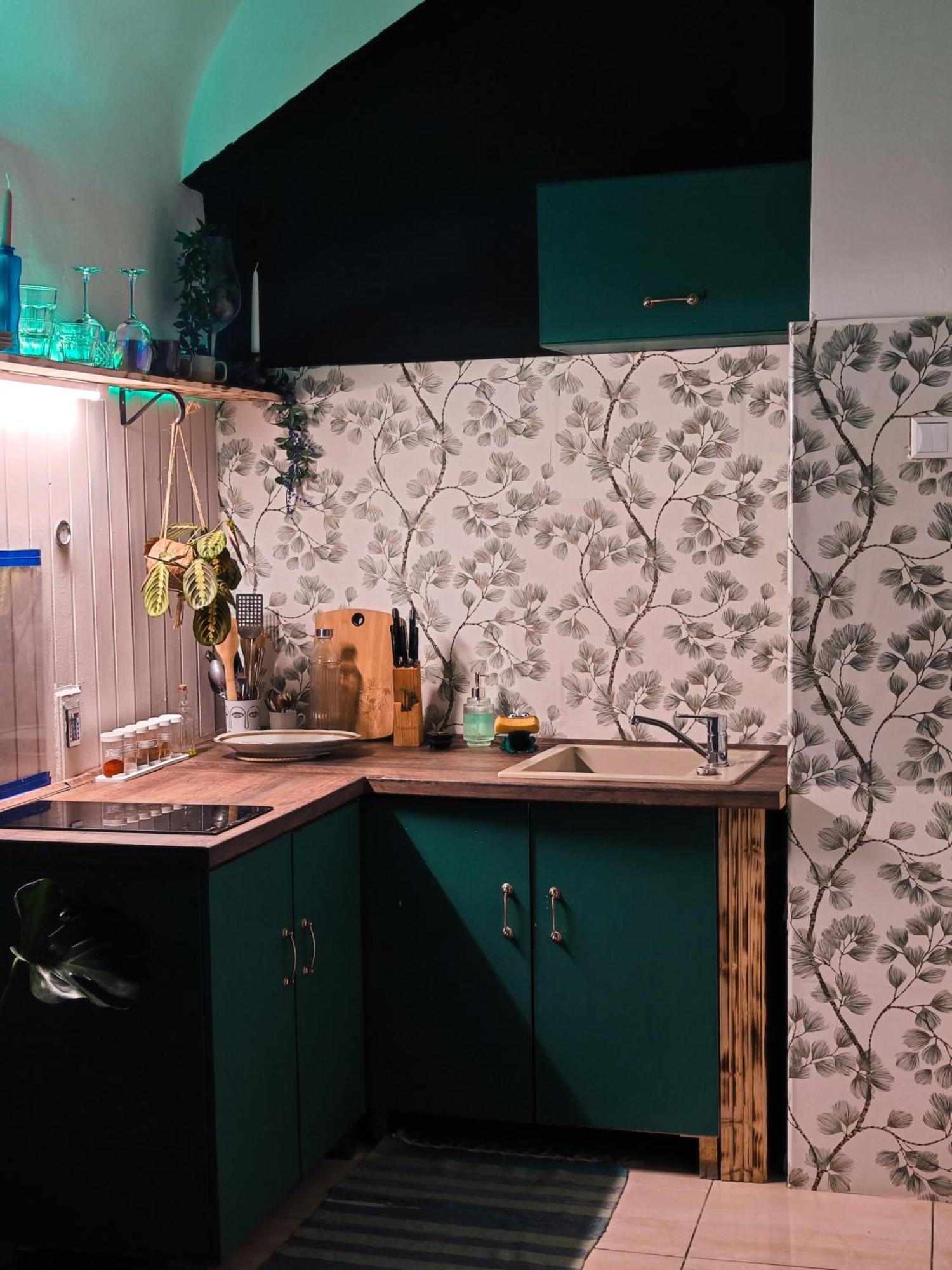 Vintage Room With Garden View ブラチスラヴァ エクステリア 写真