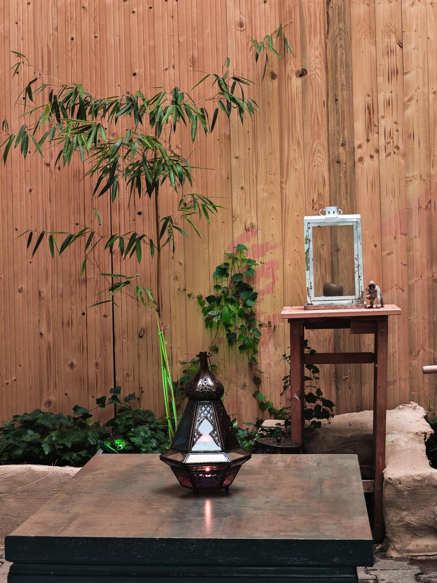 Vintage Room With Garden View ブラチスラヴァ エクステリア 写真