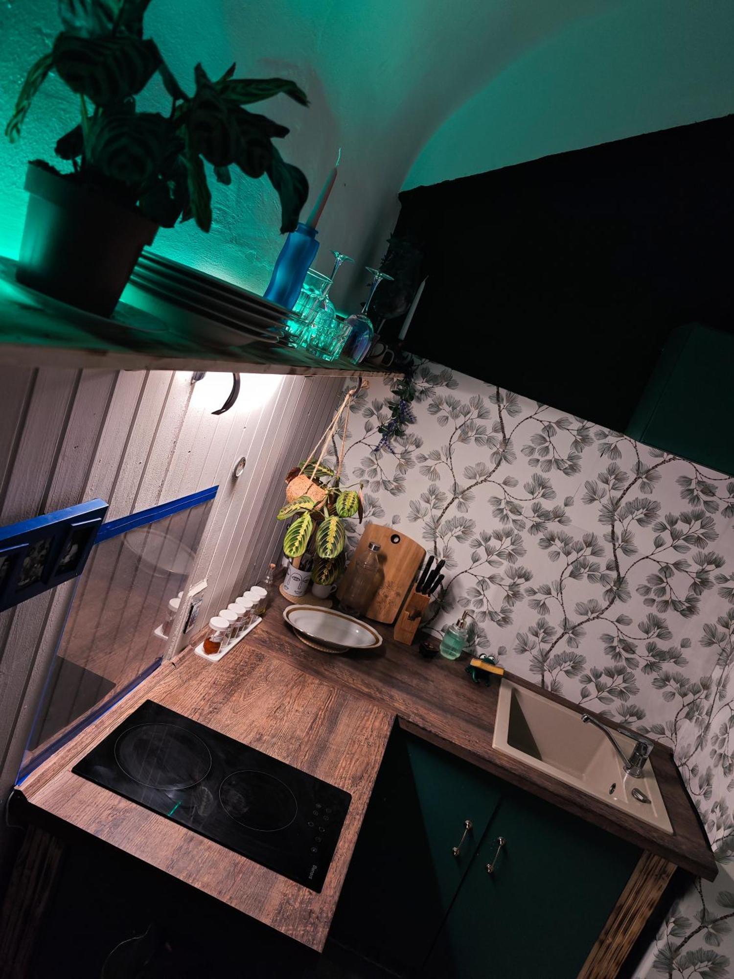 Vintage Room With Garden View ブラチスラヴァ エクステリア 写真