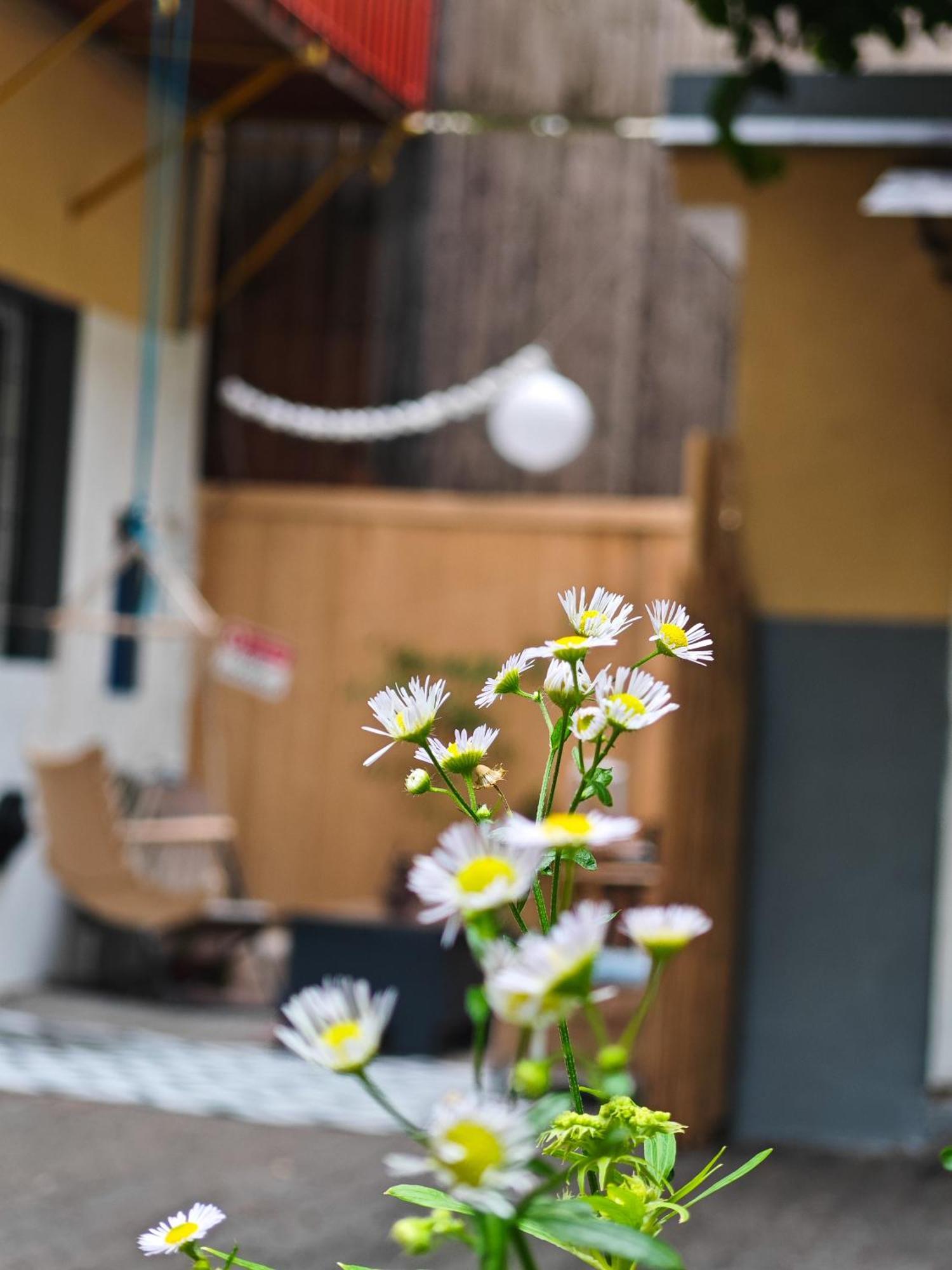 Vintage Room With Garden View ブラチスラヴァ エクステリア 写真