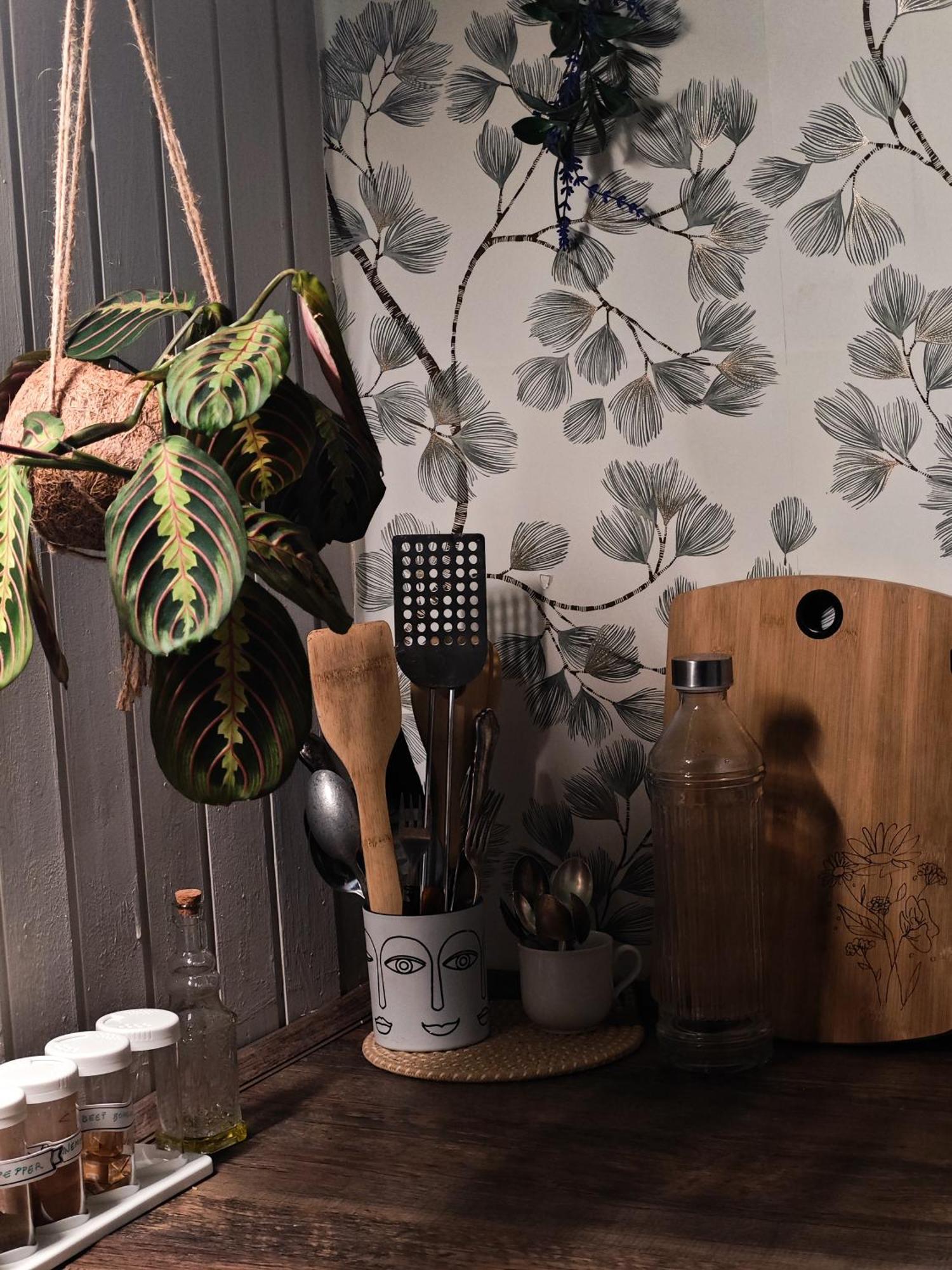 Vintage Room With Garden View ブラチスラヴァ エクステリア 写真