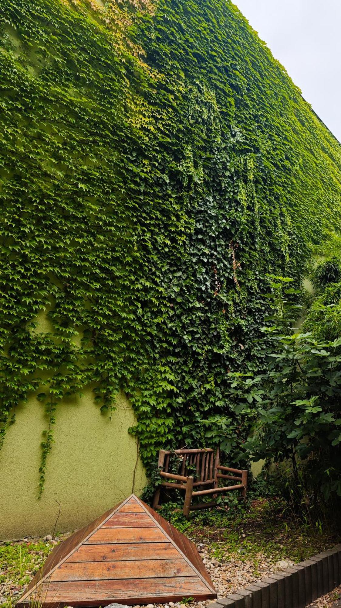 Vintage Room With Garden View ブラチスラヴァ エクステリア 写真